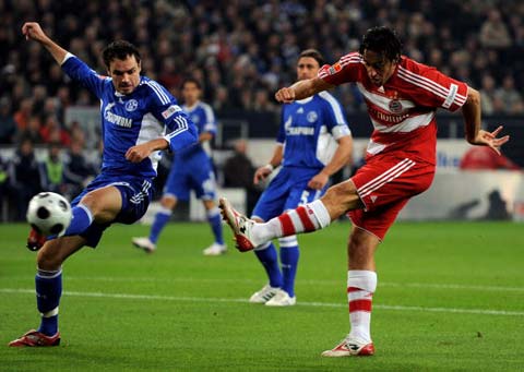 的不同反应 的不同反应