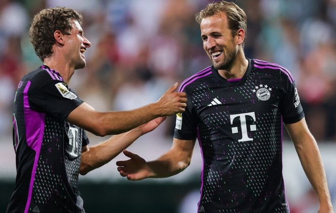 不仅保护了 不仅保护了