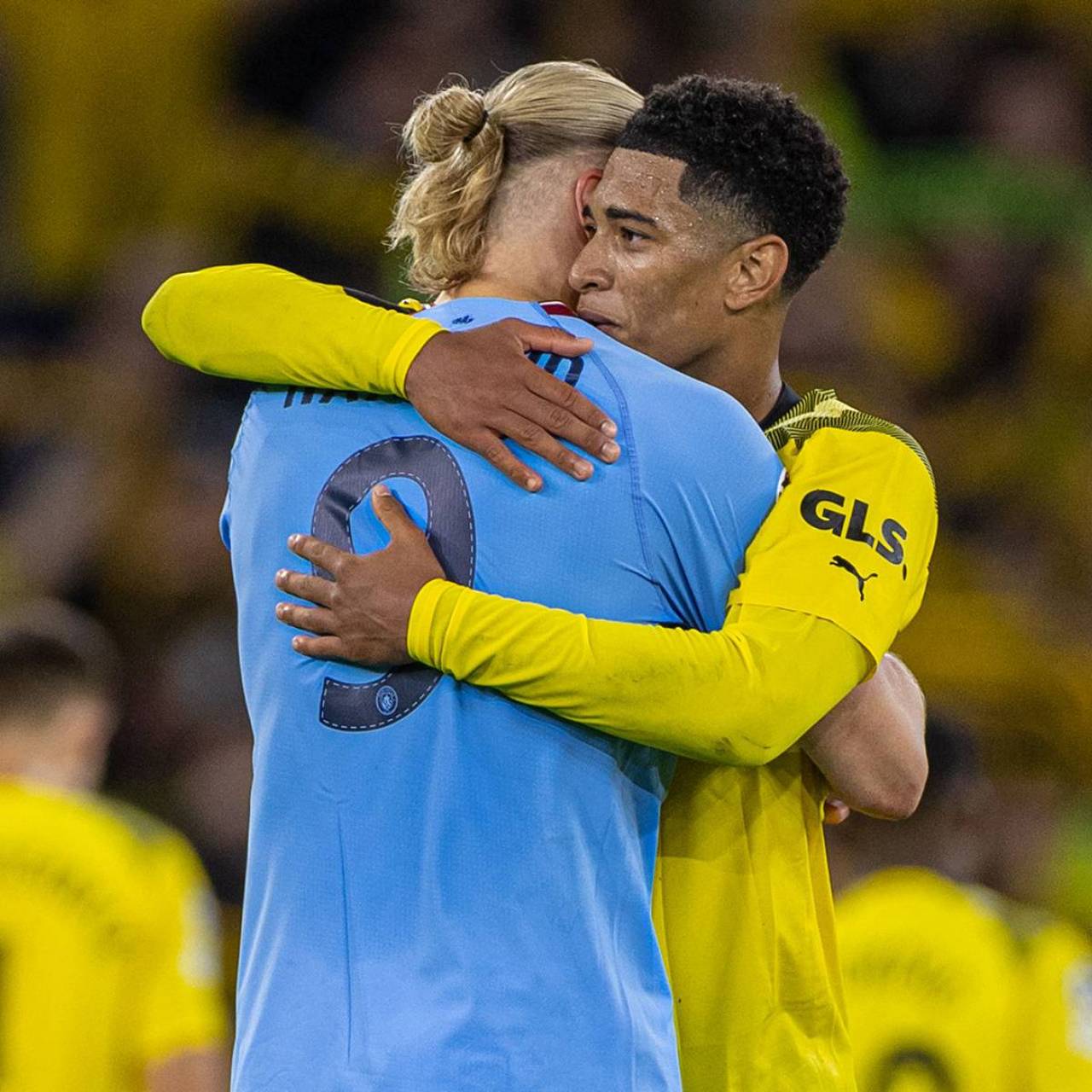 到可持续的 到可持续的